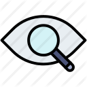 6 Retina